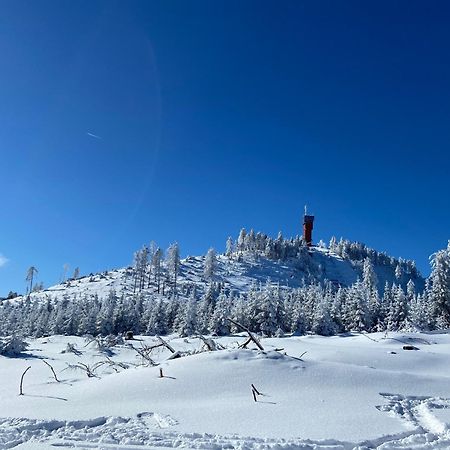 Bergtraum Braunlage Im Harz, 17 Gaeste, Sauna, Poolヴィラ エクステリア 写真