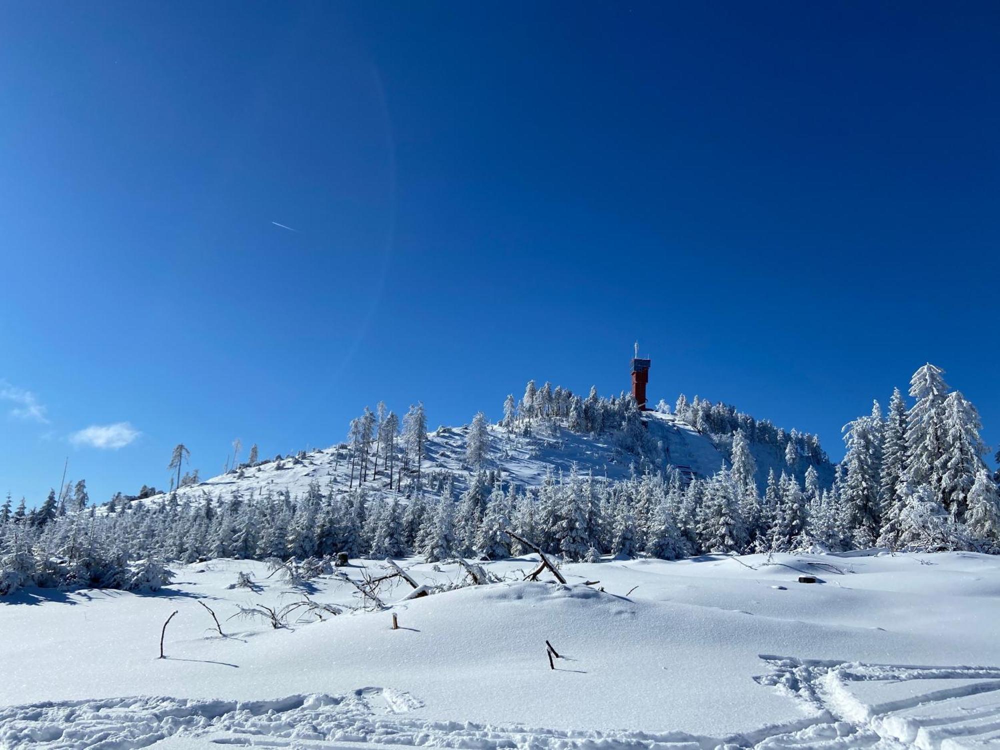 Bergtraum Braunlage Im Harz, 17 Gaeste, Sauna, Poolヴィラ エクステリア 写真