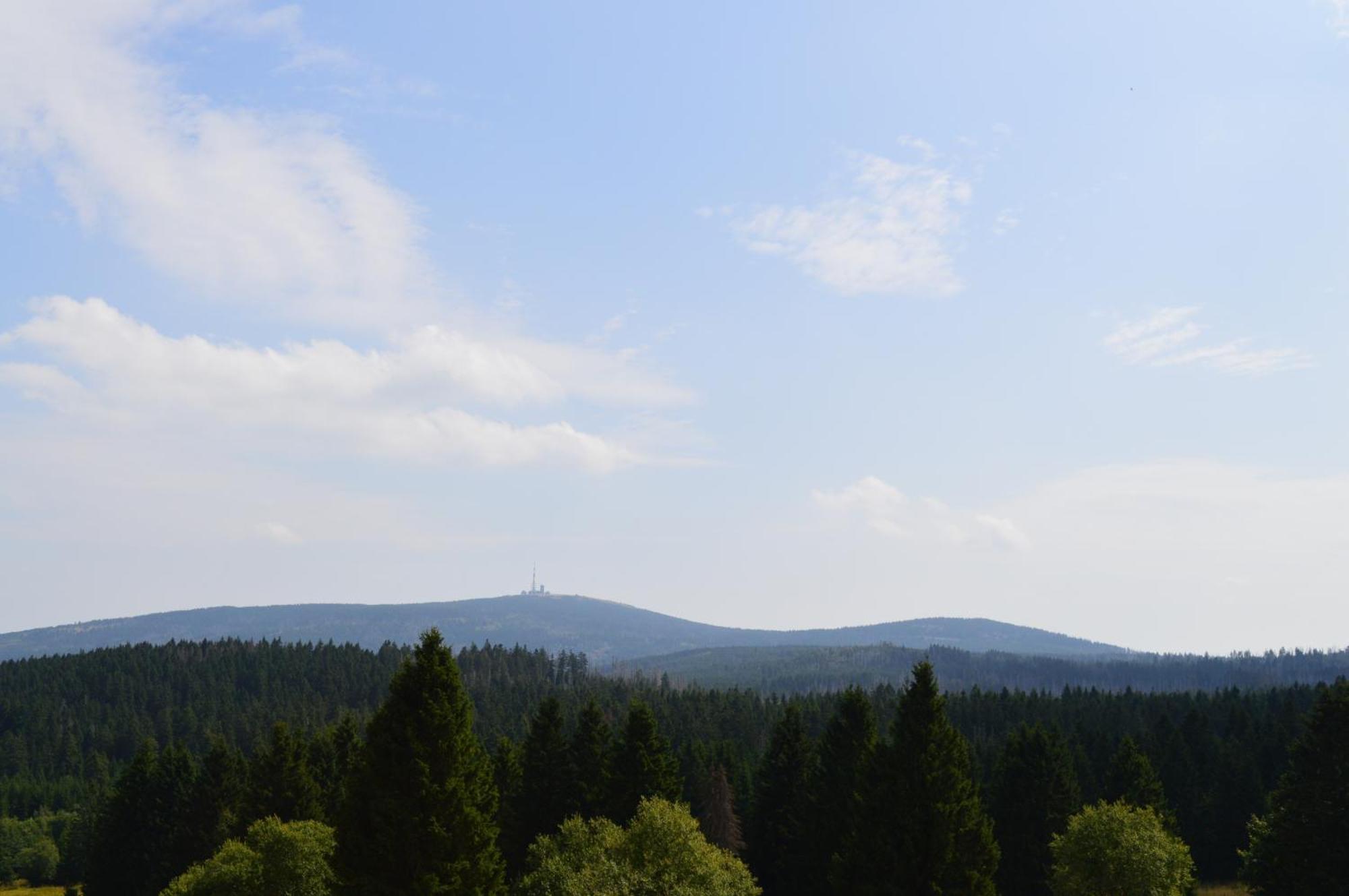 Bergtraum Braunlage Im Harz, 17 Gaeste, Sauna, Poolヴィラ エクステリア 写真