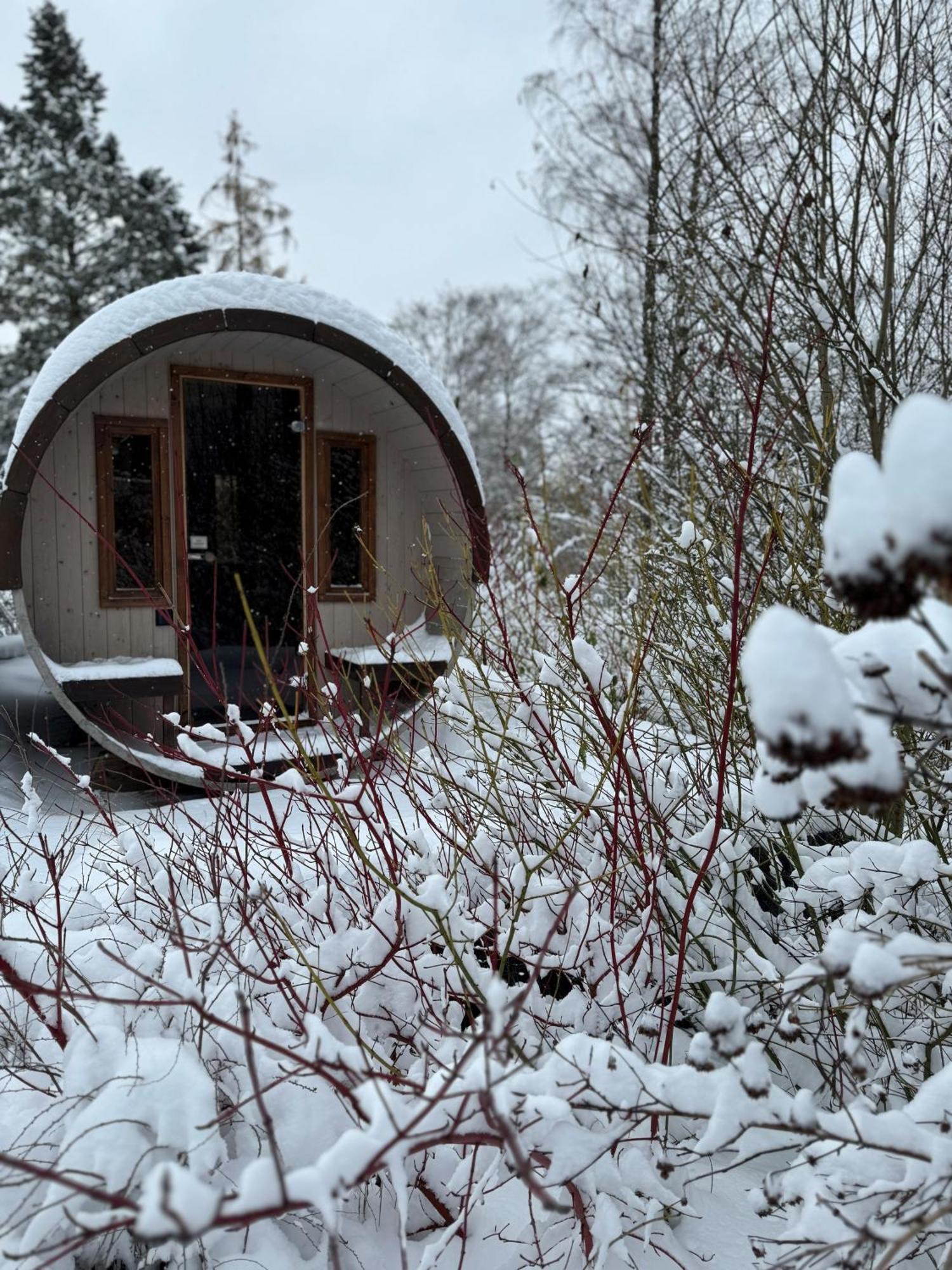 Bergtraum Braunlage Im Harz, 17 Gaeste, Sauna, Poolヴィラ エクステリア 写真